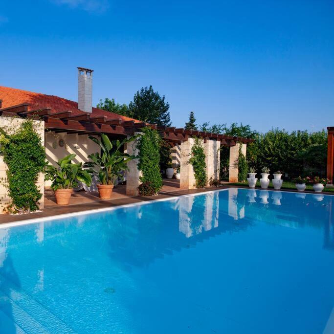 Spaziosa Villa Con Piscina E Giardino, Поліньяно-а-Маре Екстер'єр фото